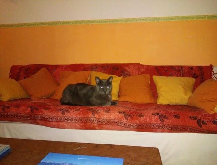 Hotel Villa Morgana Viareggio Eksteriør bilde